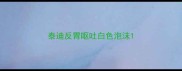 泰迪反胃呕吐白色泡沫