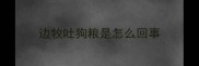 边牧吐狗粮是怎么回事