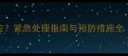 猫接种疫苗后出现过敏反应紧急处理指南与预防措施全附症状识别与兽医建议