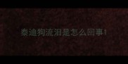 泰迪狗流泪是怎么回事