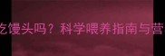 金毛犬能吃馒头吗科学喂养指南与营养禁忌全