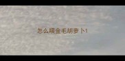 怎么喂金毛胡萝卜