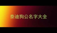 泰迪狗公名字大全