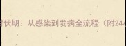 幼犬细小病毒潜伏期从感染到发病全流程附24小时护理指南