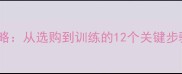 苏格兰牧羊犬边牧饲养全攻略从选购到训练的12个关键步骤附品种特性与疾病预防指南