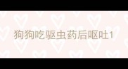 狗狗吃驱虫药后呕吐