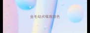 金毛幼犬嘴唇颜色