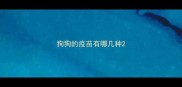 狗狗的疫苗有哪几种