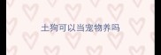 土狗可以当宠物养吗