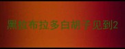 黑拉布拉多白胡子见到