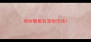 常州哪里有宠物市场