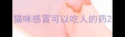 猫咪感冒可以吃人的药