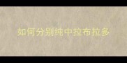 如何分别纯中拉布拉多
