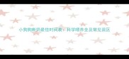 小狗狗断奶最佳时间表科学喂养全及常见误区