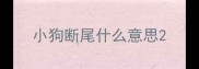 小狗断尾什么意思