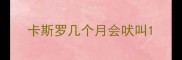 卡斯罗几个月会吠叫