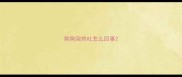 狗狗突然吐怎么回事