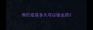 狗打疫苗多久可以驱虫药