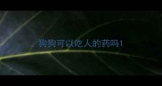 狗狗可以吃人的药吗
