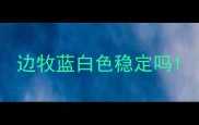 边牧蓝白色稳定吗