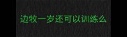 边牧一岁还可以训练么