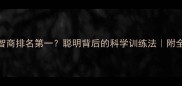 拉布拉多犬智商排名第一聪明背后的科学训练法附全年饲养指南