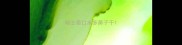 哈士奇口水多鼻子干