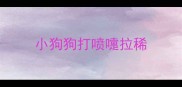 小狗狗打喷嚏拉稀