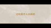 边牧是怎么训练的