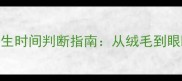 边境牧羊犬幼犬出生时间判断指南从绒毛到眼睁的7个关键信号