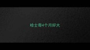 哈士奇4个月好大