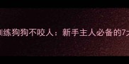 如何科学训练狗狗不咬人新手主人必备的7大有效方法