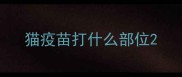 猫疫苗打什么部位