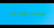 当哈士奇睡了其他的狗