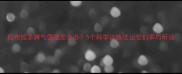 拉布拉多脾气倔强怎么办5个科学训练法让它们乖巧听话