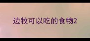 边牧可以吃的食物