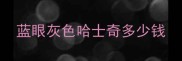 蓝眼灰色哈士奇多少钱