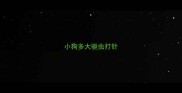 小狗多大驱虫打针