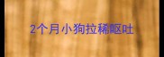 2个月小狗拉稀呕吐