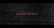拉布拉多犬晕车吗