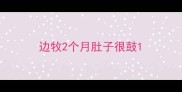 边牧2个月肚子很鼓