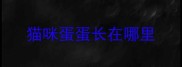 猫咪蛋蛋长在哪里