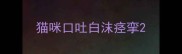 猫咪口吐白沫痉挛