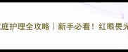 猫咪角膜炎家庭护理全攻略新手必看红眼畏光流泪别慌张