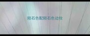 陨石色配陨石色边牧