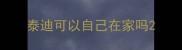 泰迪可以自己在家吗