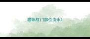 猫咪肛门部位流水