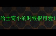 哈士奇小的时候很可爱