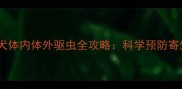 成年拉布拉多犬体内体外驱虫全攻略科学预防寄生虫疾病指南