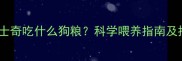 养三条哈士奇吃什么狗粮科学喂养指南及推荐品牌